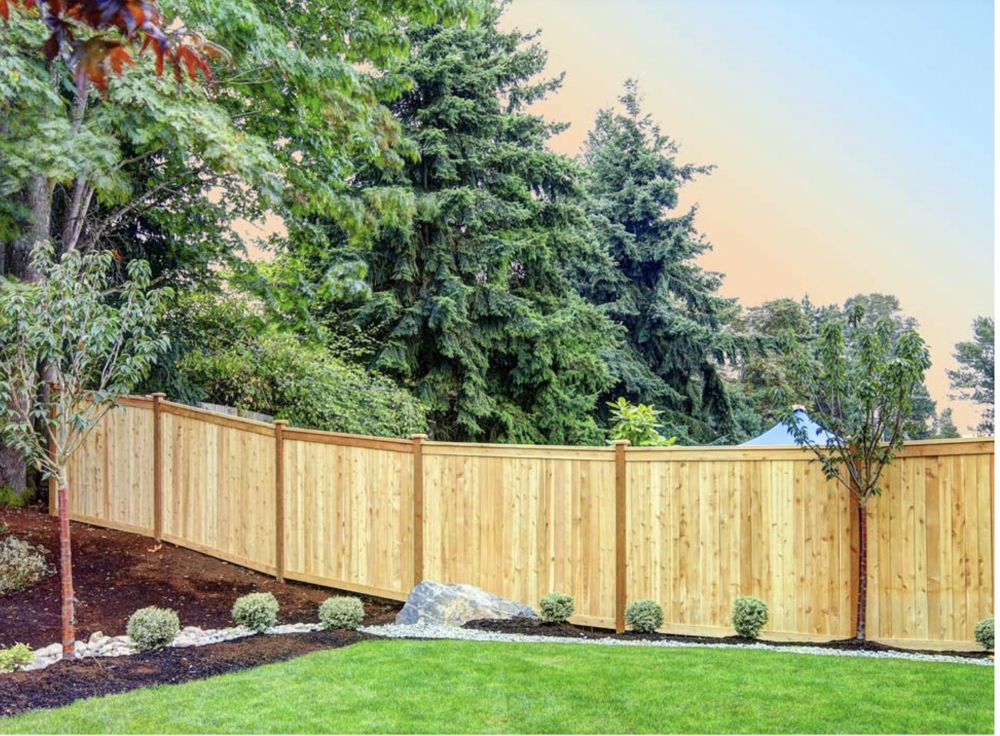 "A recently installed 8ft board-on-board vertical cedar fence showcasing its rich color and natural grain, providing privacy and enhancing the outdoor aesthetic