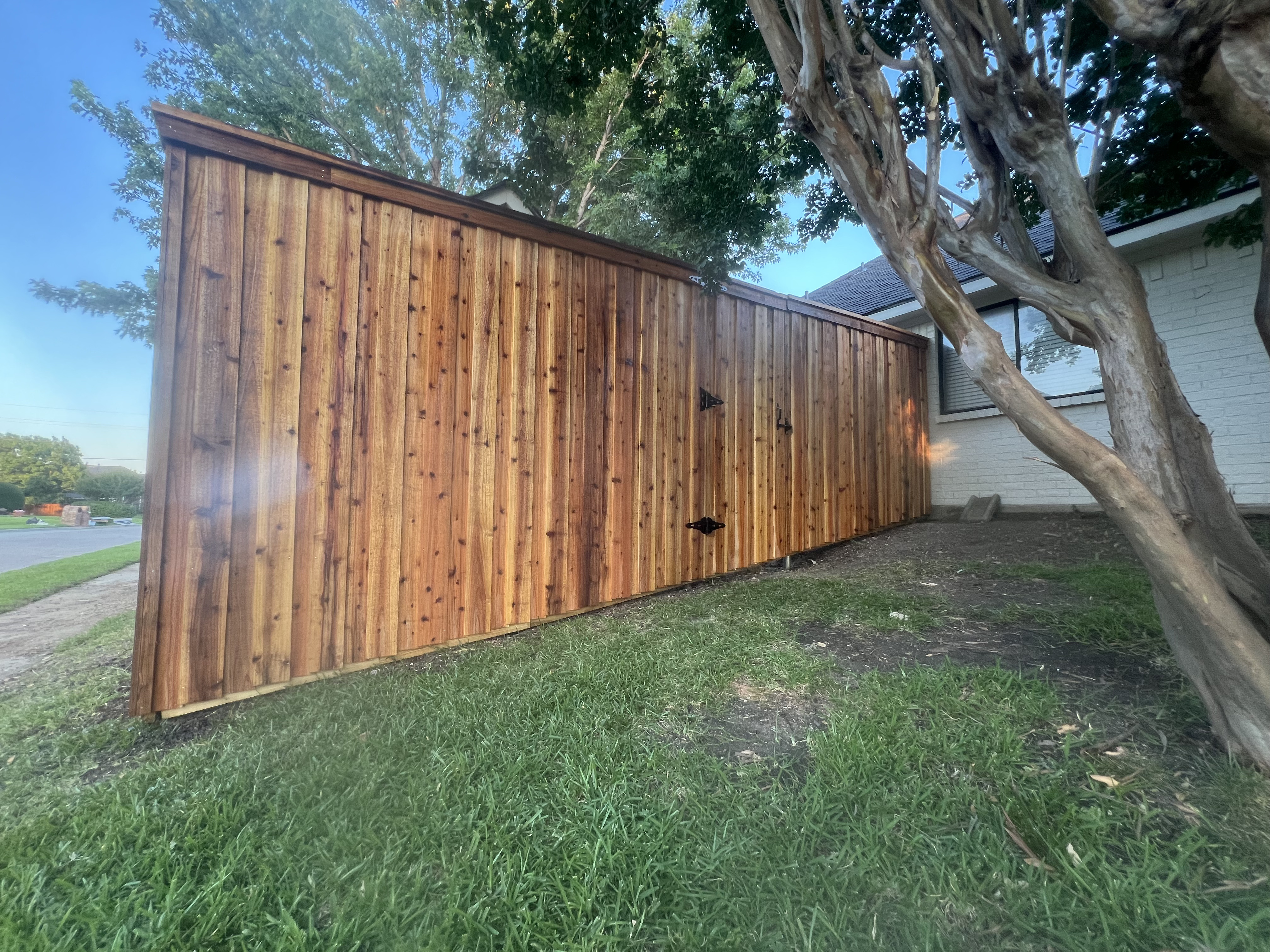 "A recently installed 8ft board-on-board vertical cedar fence showcasing its rich color and natural grain, providing privacy and enhancing the outdoor aesthetic