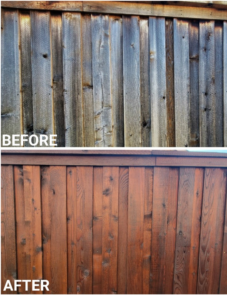 look at this beautiful cedar fence after being pressure washed and stained to look revitalized and brand new. a fence repair done right!